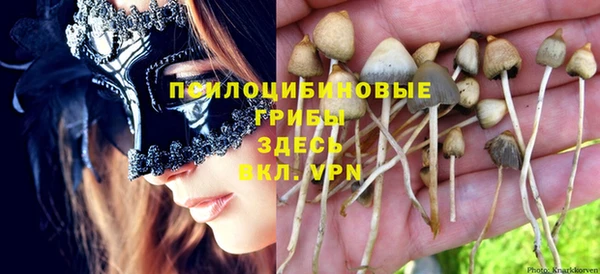 круглые Надым