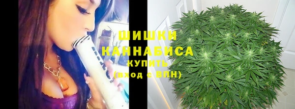 PSILOCYBIN Наволоки