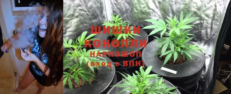 Каннабис White Widow  KRAKEN ссылки  Краснозаводск 